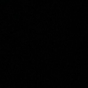 Meet your Posher, Carter